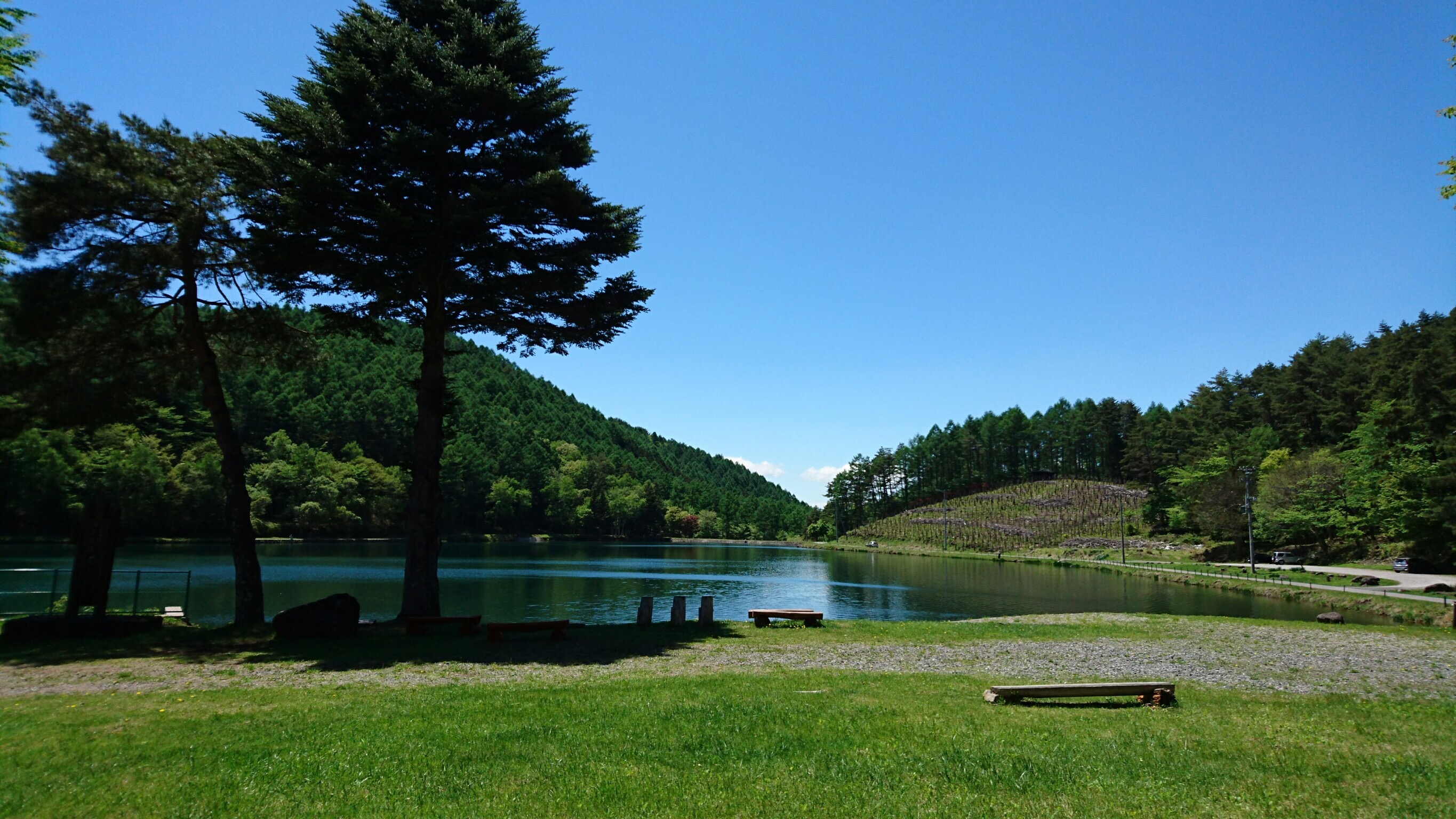 蓼の海公園 大見山展望台 ビーナスライン